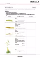Vorschau - Arbeitsblätter - Die Getreidepflanze - Deckblatt