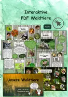 Vorschau - Präsentationen/Tafelbilder - Interaktive PDF Waldtiere - Deckblatt