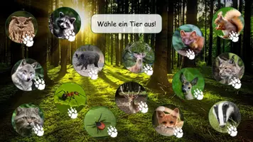 Vorschau - Präsentationen/Tafelbilder - Interaktive PDF Waldtiere - Seite 2