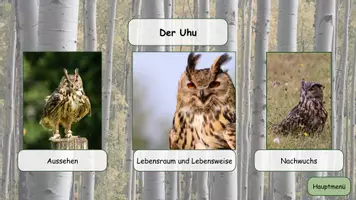 Vorschau - Präsentationen/Tafelbilder - Interaktive PDF Waldtiere - Seite 3