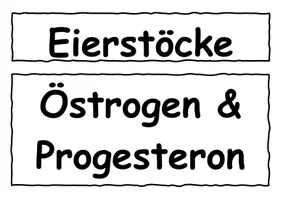 Vorschau - Stundenentwürfe - Pubertät - Seite 3