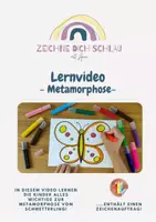 Vorschau - Mal- und Bastelvorlagen - Lernvideo | Metamorphose Schmetterling - Deckblatt