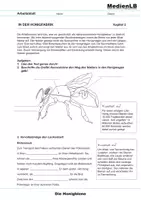 Vorschau - Arbeitsblätter - Die Biene im Bienenstaat - Seite 1