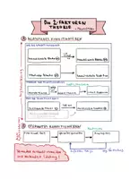 Vorschau - Arbeitsblätter - Zwei-Faktoren-Theorie der Angstentstehung - Psychologie - Seite 2