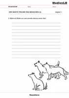 Vorschau - Arbeitsblätter - Der Hund - Seite 3