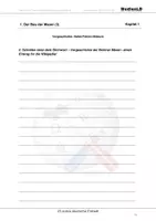 Vorschau - Arbeitsblätter - Der Bau der Mauer - Arbeitsblätter - Seite 2
