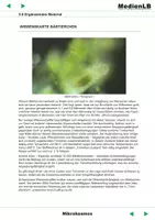 Vorschau - Arbeitsblätter - Mikrokosmos - Mikroorganismen - Seite 1