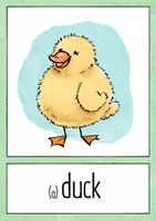 Vista previa - Refuerzo / NEE / Materiales de apoyo - Animals - Flashcards and Poster - página 1