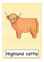 Vista previa - Decoración del aula - SCOTLAND flash cards English / Inglés - página 3