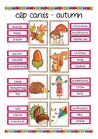 Vista previa - Unidades / Secuencias / Situaciones de Aprendizaje - autumn / fall clip cards game English / Inglés - página 2