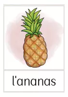 Vista previa - Tarjetas / Manipulativos - fruits & légumes francés flash cards - página 1