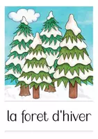 Vista previa - Tarjetas / Manipulativos - l´hiver (invierno) flash cards Francés - página 3