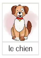 Vista previa - Tarjetas / Manipulativos - FREEBIE les animaux domestiques Francés (gratis) - página 1