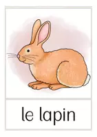 Vista previa - Tarjetas / Manipulativos - FREEBIE les animaux domestiques Francés (gratis) - página 3