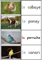 Vista previa - Juegos / Gamificación - Trouver des couples - Les animaux domestiques - página 3