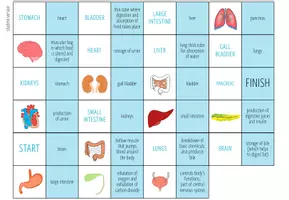 Vista previa - Juegos / Gamificación - Organs – Loop Game - página 1