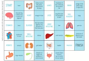 Vista previa - Juegos / Gamificación - Organs – Loop Game - página 2