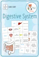Vista previa - Juegos / Gamificación - Digestive System – Card Sort - Portada