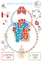 Vista previa - Juegos / Gamificación - Heart and Circulatory System - Board game - página 3