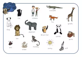 Vista previa - Hojas de trabajo - Brown Owl at the Zoo - PICTURE DICTIONARY WORDMATS - página 1