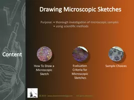 Vista previa - Presentaciones - Cells - Virtual Lab - Drawing Microscopic Sketches - página 2
