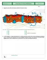 Vista previa - Hojas de trabajo - Cells - Structure of Cell Membranes and Transport of Substances Through Membranes - página 1