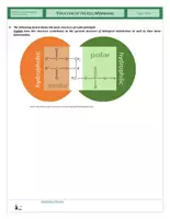Vista previa - Hojas de trabajo - Cells - Structure of Cell Membranes and Transport of Substances Through Membranes - página 2