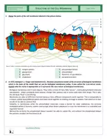 Vista previa - Hojas de trabajo - Cells - Structure of Cell Membranes and Transport of Substances Through Membranes - página 3