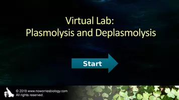 Vista previa - Hojas de trabajo - Cells - Virtual Lab - Plasmolysis and Deplasmolysis - página 1