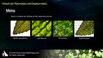 Vista previa - Hojas de trabajo - Cells - Virtual Lab - Plasmolysis and Deplasmolysis - página 2