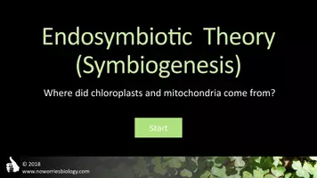Vista previa - Presentaciones - Cells - Endosymbiotic Theory - página 1