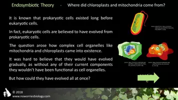 Vista previa - Presentaciones - Cells - Endosymbiotic Theory - página 3