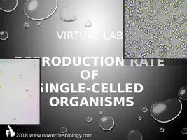 Vista previa - Unidades / Secuencias / Situaciones de Aprendizaje - Cells - Virtual Lab - Reproduction Rate of Single-Celled Organisms - página 1