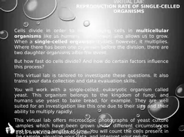 Vista previa - Unidades / Secuencias / Situaciones de Aprendizaje - Cells - Virtual Lab - Reproduction Rate of Single-Celled Organisms - página 2