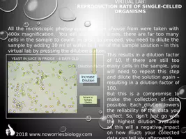 Vista previa - Unidades / Secuencias / Situaciones de Aprendizaje - Cells - Virtual Lab - Reproduction Rate of Single-Celled Organisms - página 3