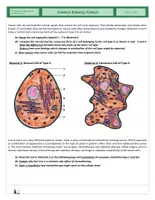 Vista previa - Hojas de trabajo - Cells - Complex Exercise - Cancer - página 2