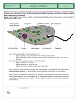 Vista previa - Hojas de trabajo - Cells - Exercise - Types of Cells - Euglena - página 2