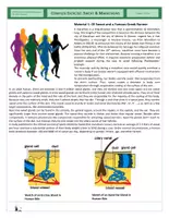 Vista previa - Hojas de trabajo - Cells - Complex Exercise - Sweat and Marathons - página 1