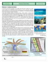 Vista previa - Hojas de trabajo - Ecology - Complex Exercise - Tropical Coral Reefs - página 1