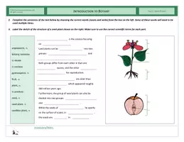 Vista previa - Hojas de trabajo - CLIL - Introduction to Botany - página 2