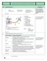 Vista previa - Hojas de trabajo - Neurobiology - Complex Exercise - Chicago Tylenol Murders - página 3