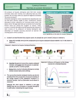Vista previa - Hojas de trabajo - Metabolism - Complex Exercise - Enzymes in Laundry Detergents - página 1