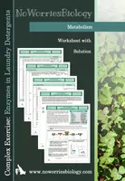 Vista previa - Hojas de trabajo - Metabolism - Complex Exercise - Enzymes in Laundry Detergents - Portada