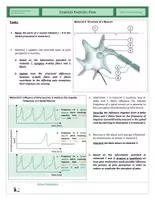 Vista previa - Hojas de trabajo - Neurobiology - Complex Exercise - Pain - página 2