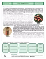 Vista previa - Hojas de trabajo - Neurobiology - Complex Exercise - Pain Medication - página 1
