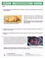 Vista previa - Hojas de trabajo - Evolution - Complex Exercise - Marsupials - página 2