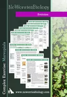 Vista previa - Hojas de trabajo - Evolution - Complex Exercise - Marsupials - Portada