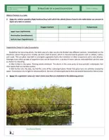 Vista previa - Hojas de trabajo - Ecology - Structure of a Lake Ecosystem - página 2