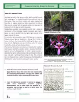 Vista previa - Hojas de trabajo - Metabolism - Complex Exercise - Epiphytic Orchids - página 1