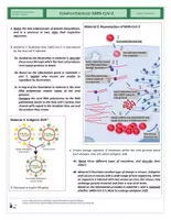 Vista previa - Hojas de trabajo - Genetics - Complex Exercise - SARS-CoV-2 - página 2